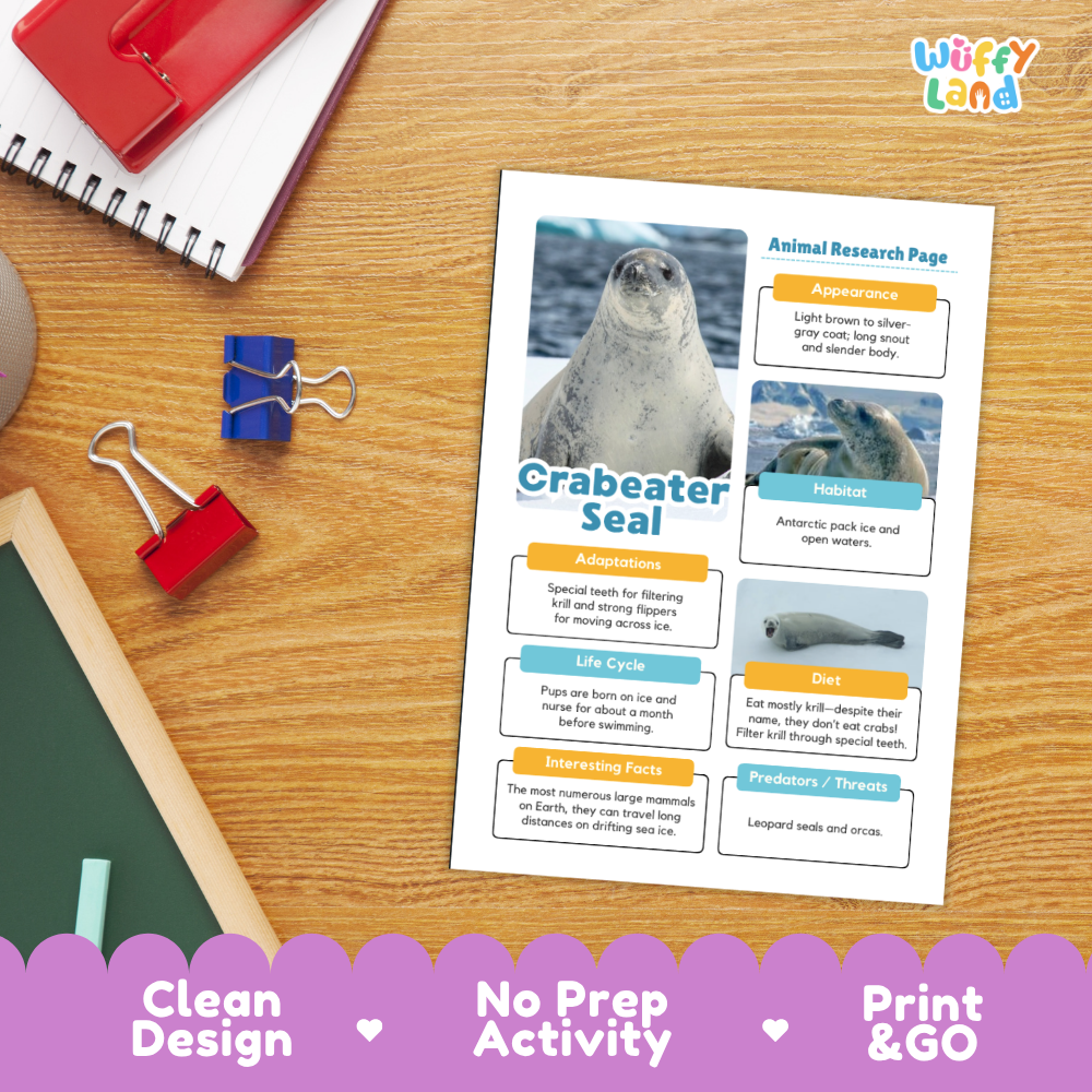 Crabeater Seal Animal Research Page Worksheets