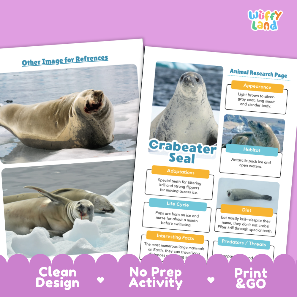 Crabeater Seal Animal Research Page Worksheets