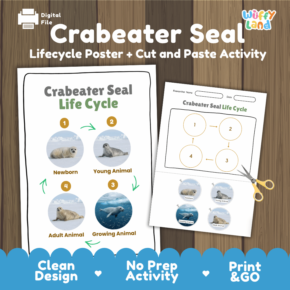 Crabeater Seal Life Cycle Poster and Cut and Paste Activity Worksheets