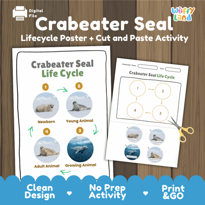 Crabeater Seal Life Cycle Poster and Cut and Paste Activity Worksheets