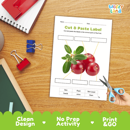 Differentiated cranberry fruit labeling worksheets featuring write-in callout boxes and vocabulary word bank