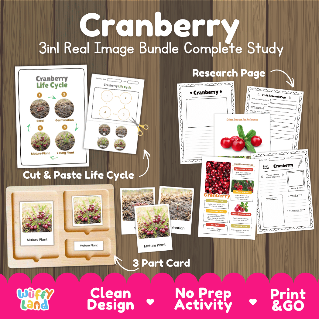 Complete Cranberry 3-in-1 real image study bundle featuring cut and paste worksheets, Montessori 3-part cards, and research pages 🍒🌱