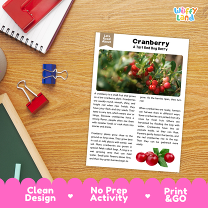 Student reading comprehension worksheet with short-answer questions and lined sections about cranberries