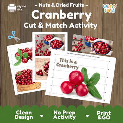 Cranberry Cut and Match Activity Worksheets | Nuts and Dried Fruits Puzzle Printables
