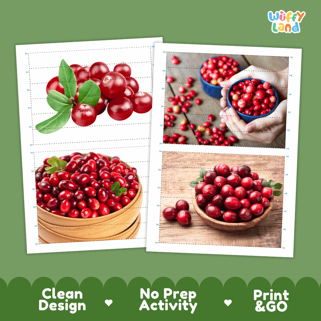 Cranberry Cut and Match Activity Worksheets | Nuts and Dried Fruits Puzzle Printables
