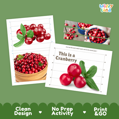 Cranberry Cut and Match Activity Worksheets | Nuts and Dried Fruits Puzzle Printables