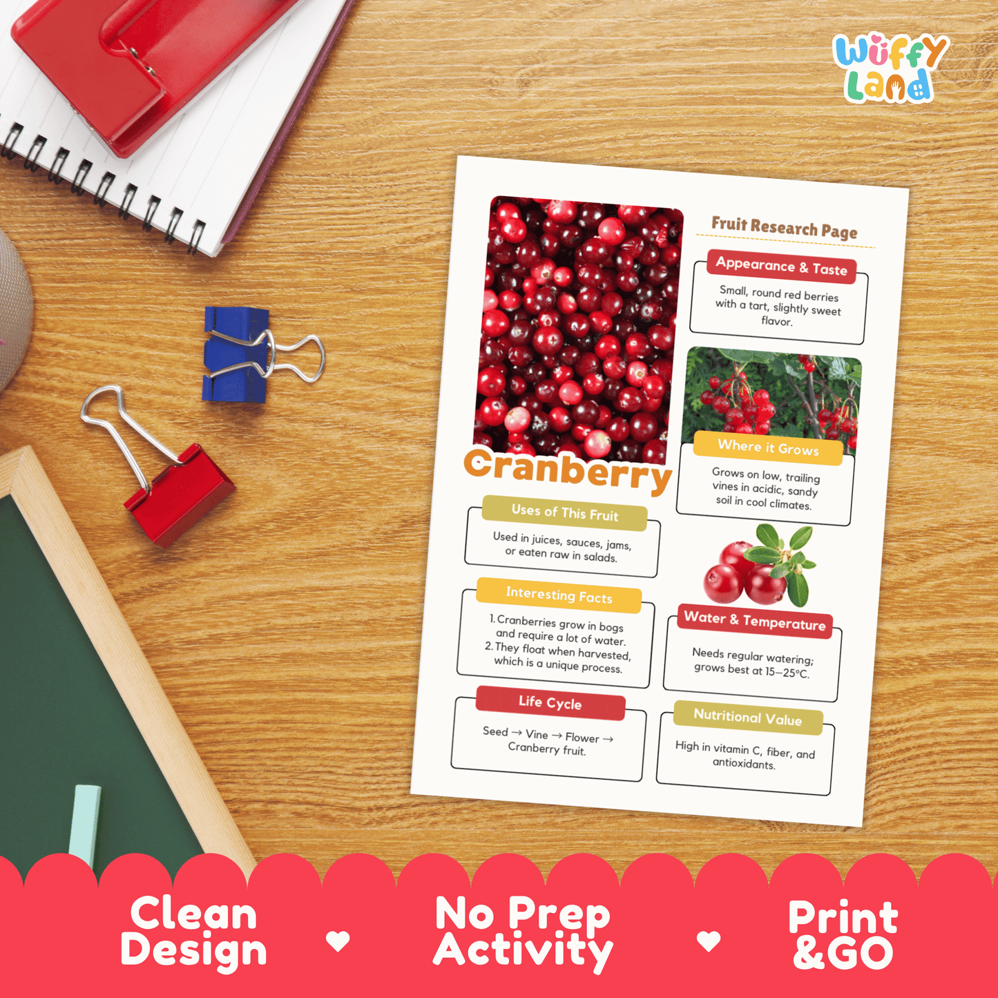 Cranberry Fruit Research Page Worksheet Activity | Science Healthy Eating