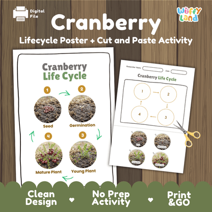 Cranberry Life Cycle Poster and Cut and Paste Worksheet Activity