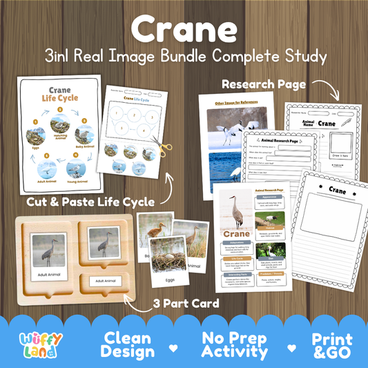 Crane 3-in-1 real image bundle complete study cover showing cut and paste life cycle, 3 part cards, and research pages