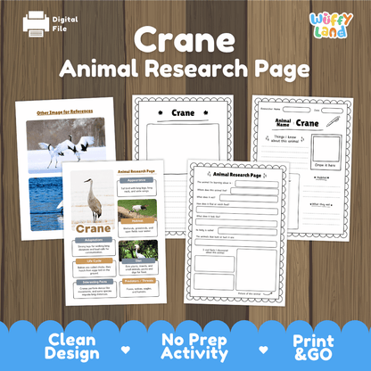 Crane Animal Research Page Worksheets
