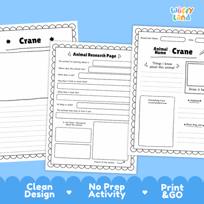 Crane Animal Research Page Worksheets