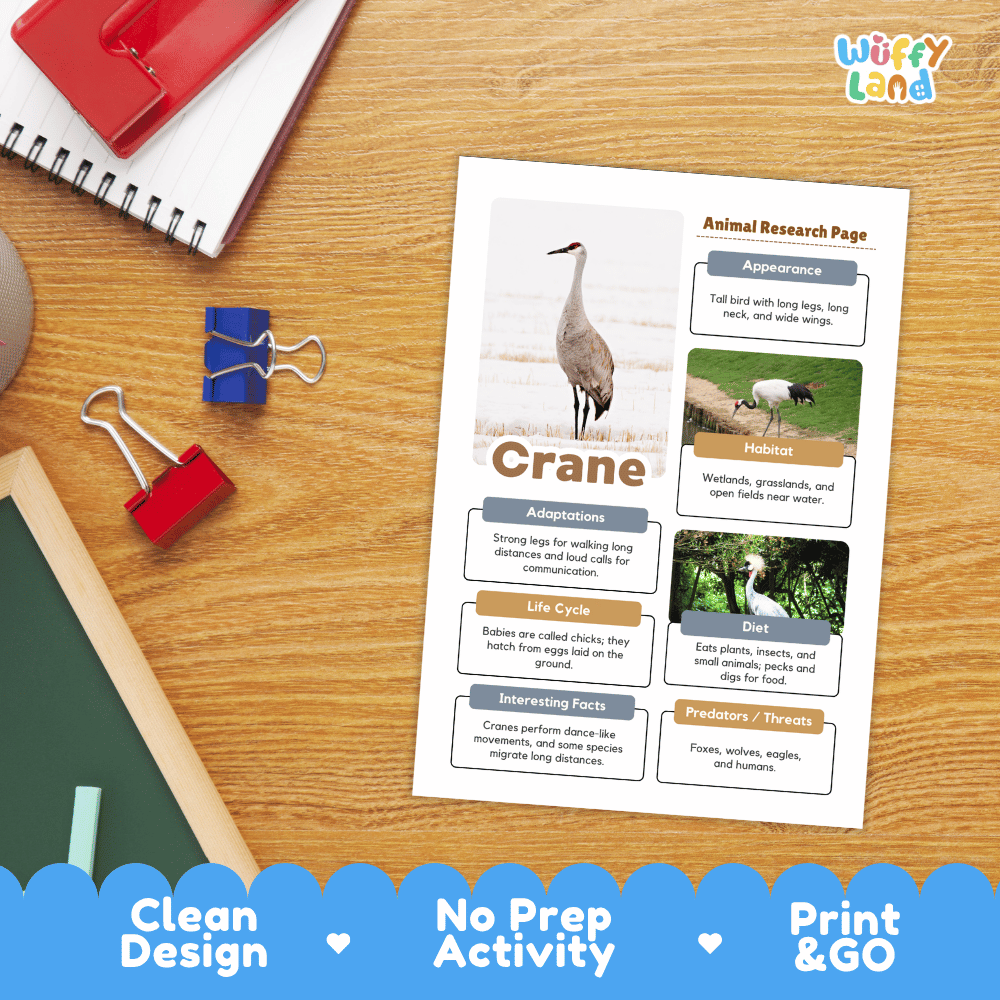 Crane Animal Research Page Worksheets