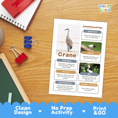 Crane Animal Research Page Worksheets