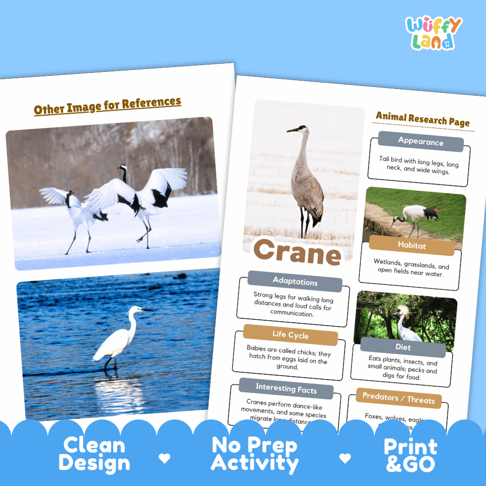 Crane Animal Research Page Worksheets