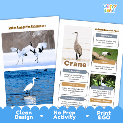Crane Animal Research Page Worksheets