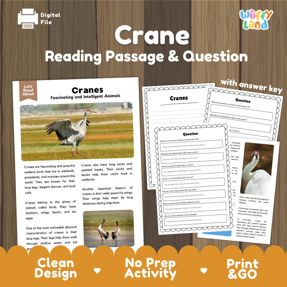 Digital reading activity product for 'Crane Reading Passage & Question' by Wiffy Land, featuring a sample cranes educational page and two worksheet pages with answer key, displayed on a wood background with promotional text.