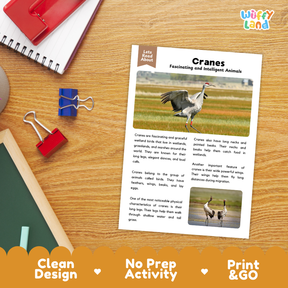 An educational activity sheet about cranes titled 'Cranes Fascinating and Intelligent Animals' displayed on a wooden desk with school supplies. The sheet features text and two photos of cranes.