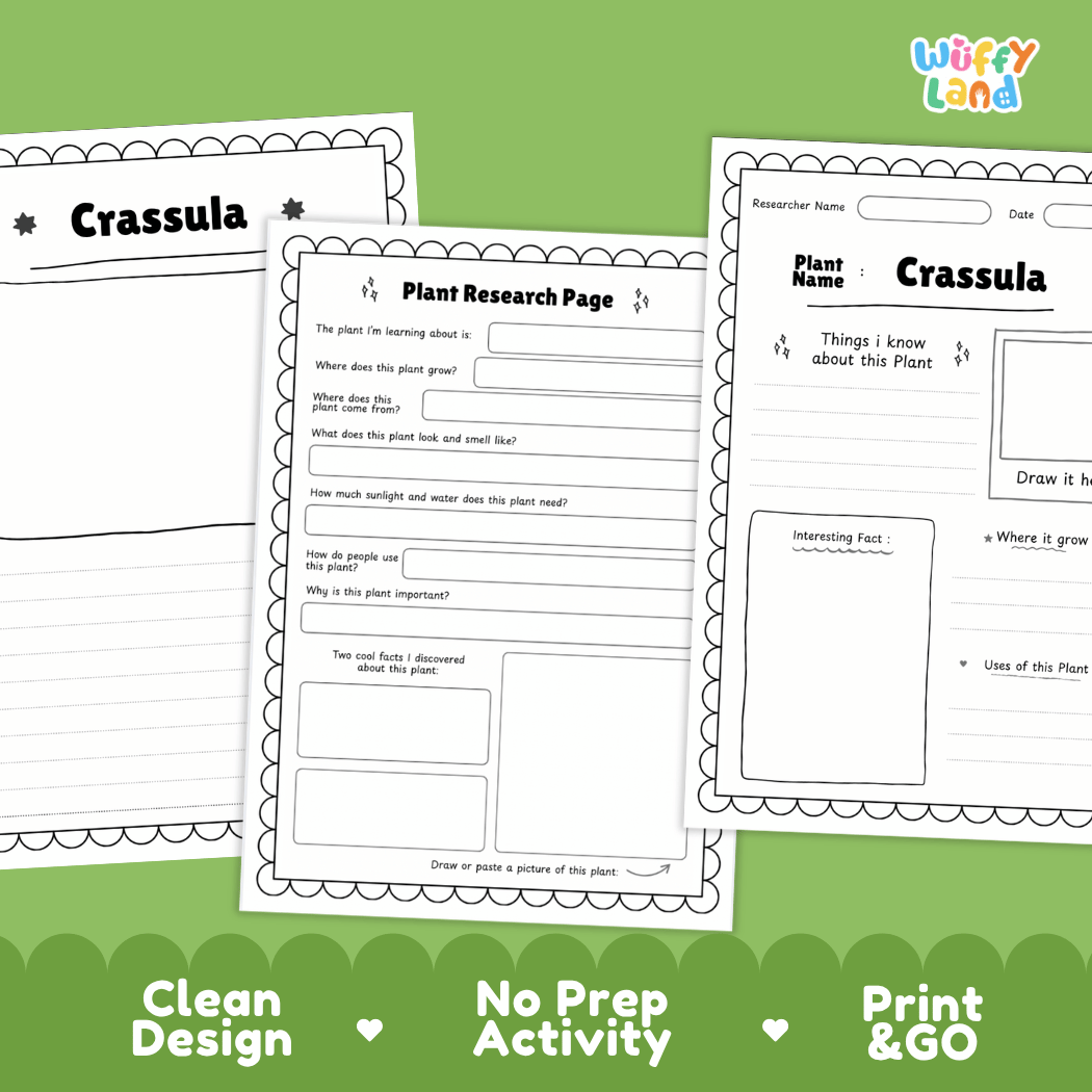 Three printable worksheet pages for a plant research project titled 'Crassula' are shown on a green background with marketing text at the bottom. The pages are white with black text and border outlines, and the brand logo 'Wiffly Land' appears in the top right.