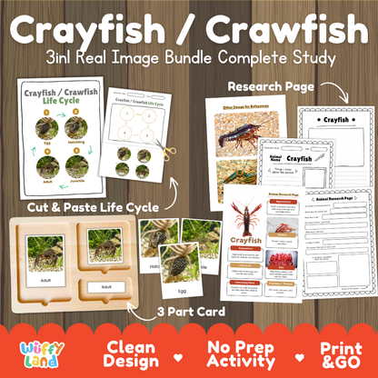 Crayfish crawfish 3-in-1 real image bundle complete study cover showing cut and paste life cycle, 3 part cards, and research pages
