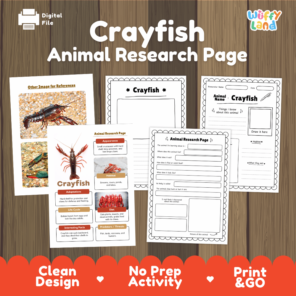 Crayfish Animal Research Page Worksheets