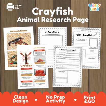 Crayfish Animal Research Page Worksheets