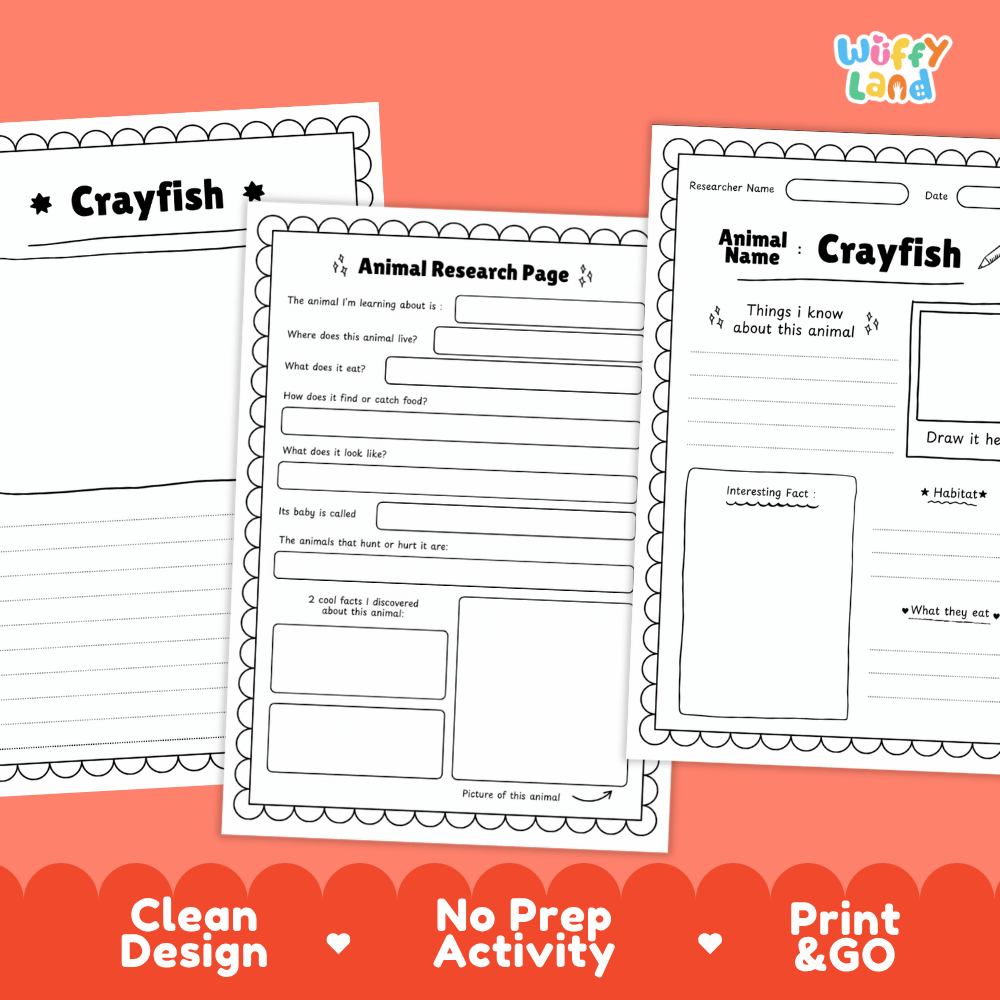 Crayfish Animal Research Page Worksheets