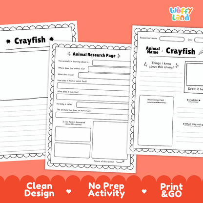 Crayfish Animal Research Page Worksheets