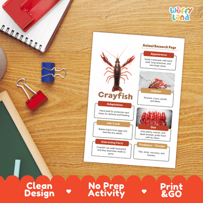 Crayfish Animal Research Page Worksheets