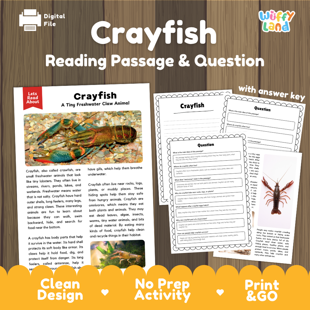 Crayfish Reading Passage and Comprehension Questions with Answer Key Worksheets