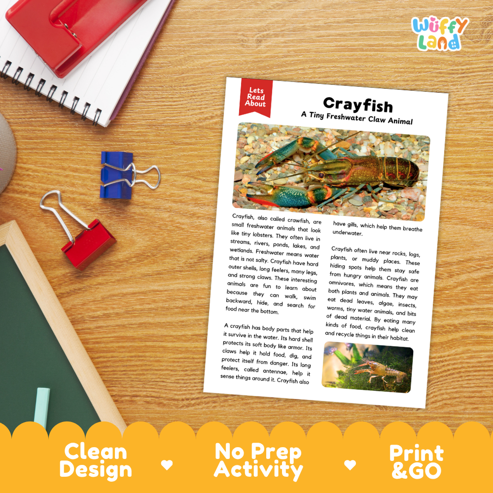Crayfish Reading Passage and Comprehension Questions with Answer Key Worksheets