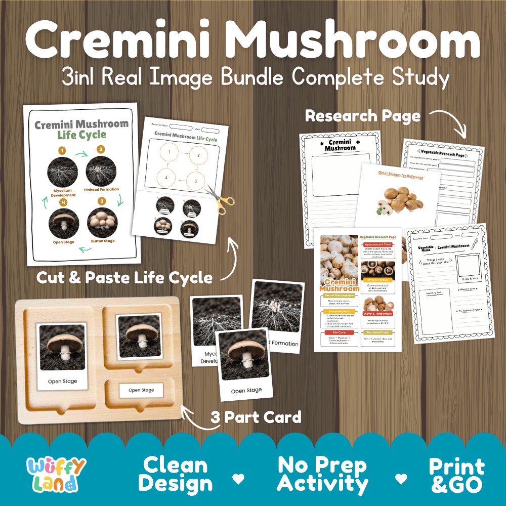 Cremini mushroom 3in1 real image bundle complete study printable featuring life cycle cut and paste worksheets, Montessori 3-part cards, and research pages