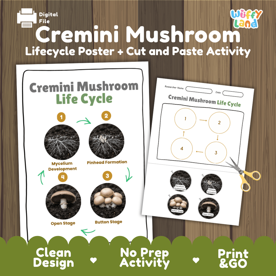 Cremini mushroom fungi life cycle educational printable pack cover showing visual reference poster and cut and paste sequencing worksheet with real photography