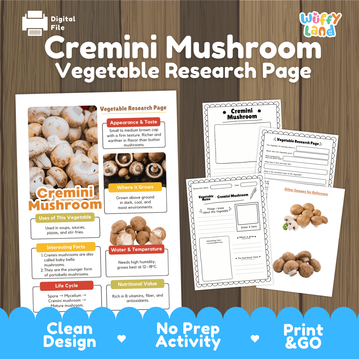 Student vegetable research page writing worksheets with real fresh cremini mushroom photos, lined note-taking prompts, and drawing frames