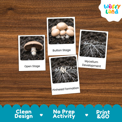 Four printed mushroom growth cards arranged on a brown wood background, showing labeled stages: Open Stage, Button Stage, Pinhead Formation, and Mycelium Development. A white cloud logo reading Wuffy Land appears in the top right, and a blue banner at the bottom reads Clean Design, No Prep Activity, and Print & GO.