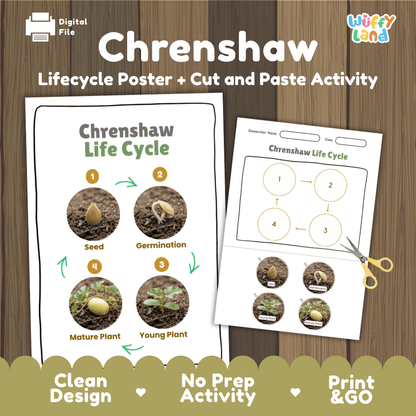 Crenshaw melon plant life cycle educational poster and cut and paste printable sequencing activity featuring real photos for elementary science