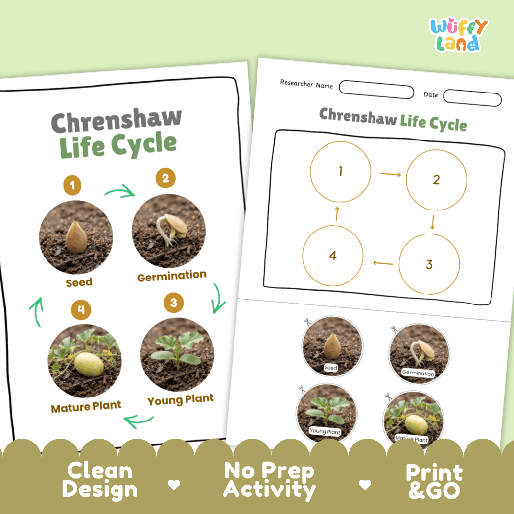 Print and go digital PDF plant science activity featuring clean design layout, researcher name line, and zero prep classroom format
