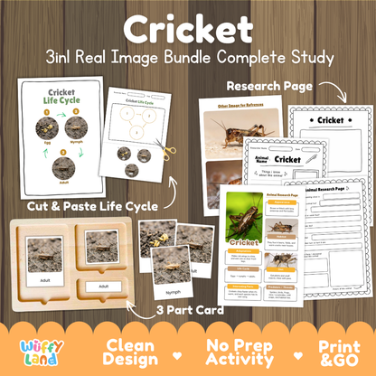 Cricket 3-in-1 real image bundle complete study cover showing cut and paste life cycle, 3 part cards, and research pages