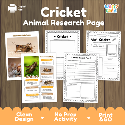 Cricket Animal Research Page Worksheets