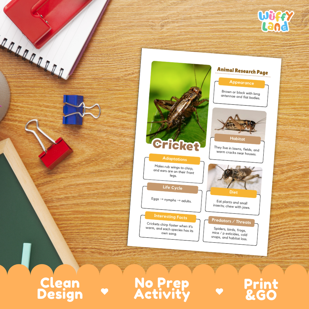 Cricket Animal Research Page Worksheets