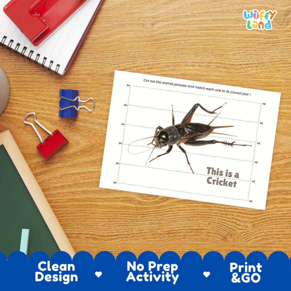 Cricket Cut and Match Activity Printables Worksheets