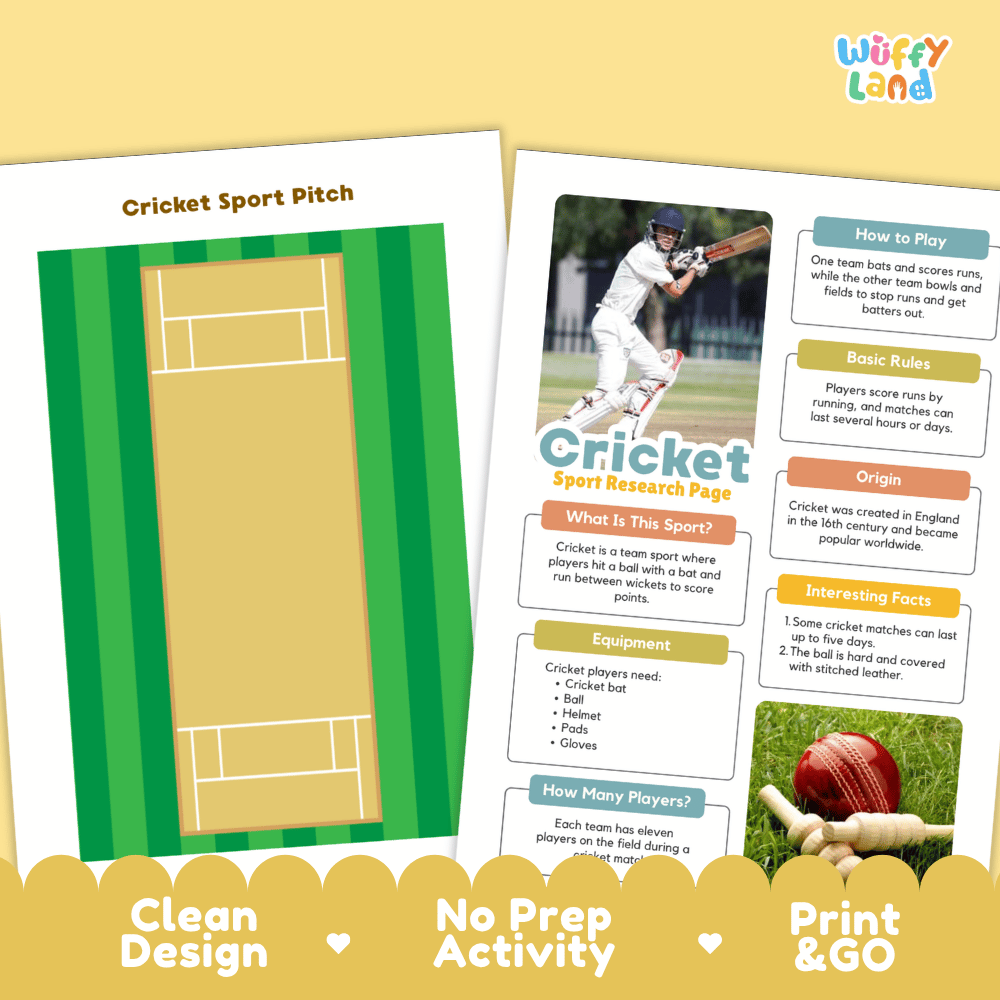 Two printed activity sheets about cricket displayed on a yellow background. One sheet shows a green cricket pitch layout, and the other is a colorful cricket sport research page with text boxes, a player photo, and cricket imagery.