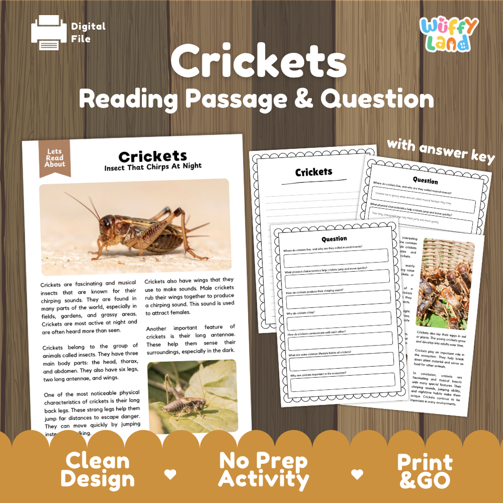 Crickets Reading Passage and Comprehension Questions Worksheets
