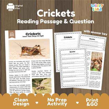 Crickets Reading Passage and Comprehension Questions Worksheets