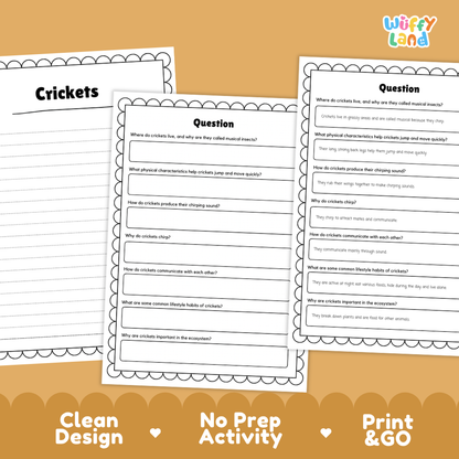 Crickets Reading Passage and Comprehension Questions Worksheets
