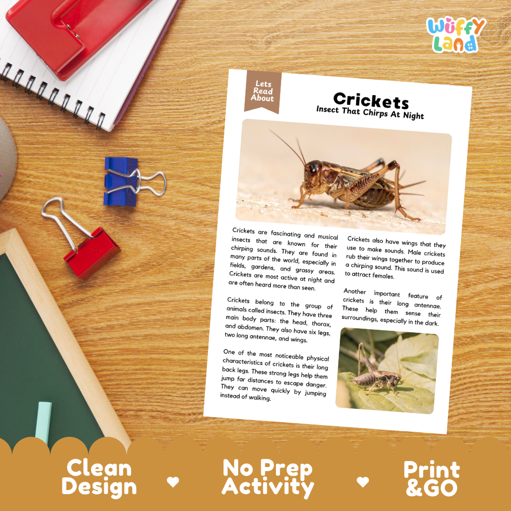 Crickets Reading Passage and Comprehension Questions Worksheets
