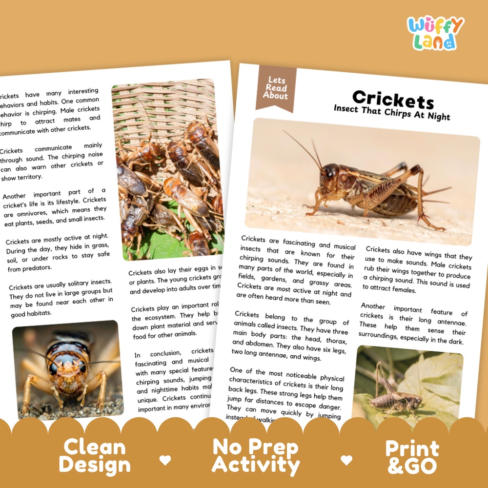 Crickets Reading Passage and Comprehension Questions Worksheets