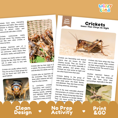 Crickets Reading Passage and Comprehension Questions Worksheets