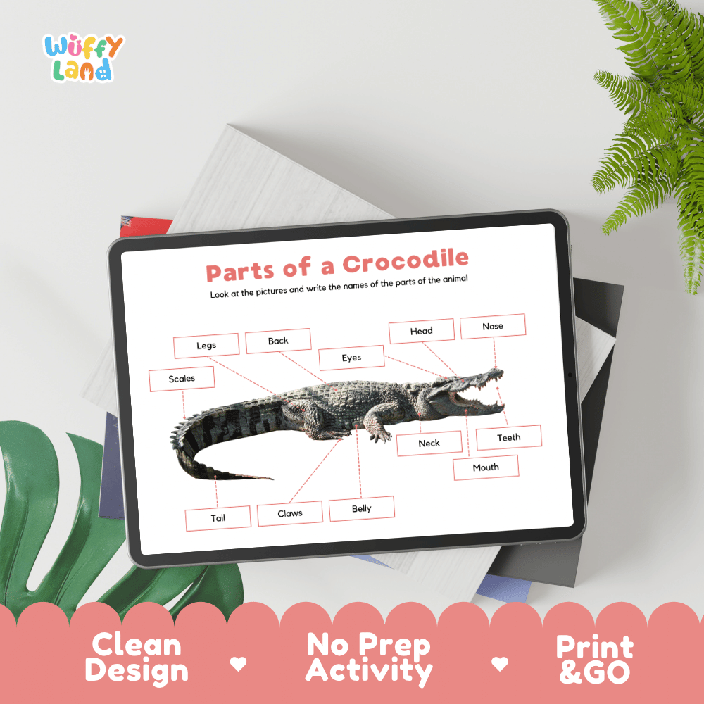 Educational cut and paste crocodile anatomy worksheet with printable word cutout tiles for teeth, claws, scales, and tail
