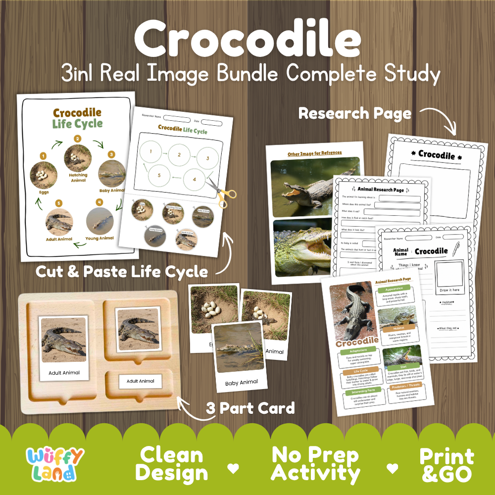 Crocodile 3-in-1 real image bundle complete study cover showing cut and paste life cycle, 3 part cards, and research pages