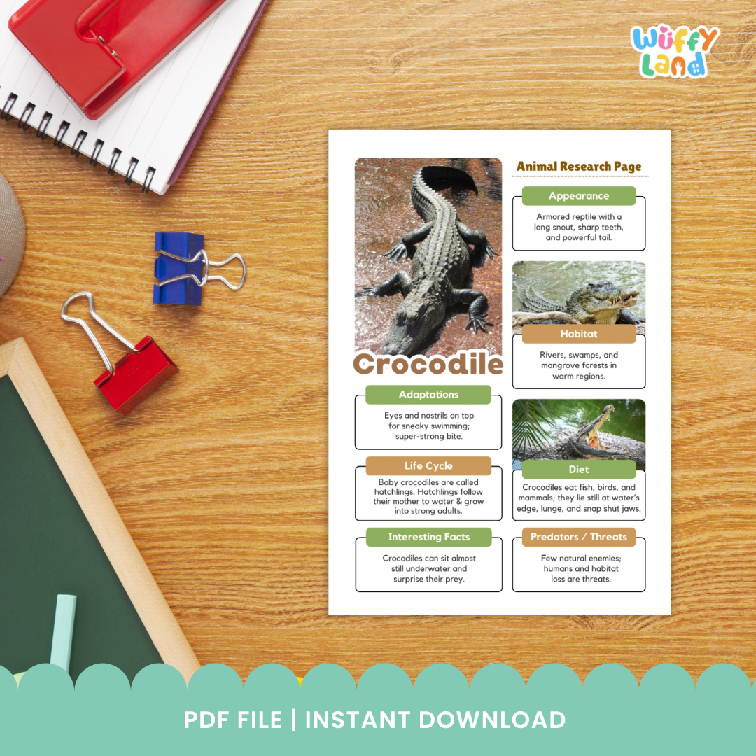 Educational printable pack titled “Crocodile Animal Research Project” displayed on a wooden background. The set includes photo reference pages with crocodile images and labeled sections for adaptations, habitat, life cycle, and interesting facts. It also features black-and-white research worksheets where students can write information, answer guided questions, and draw the animal.